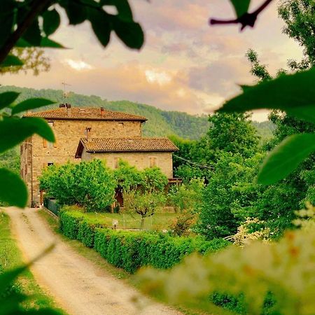 La Teggia Apartment Monte San Pietro Bagian luar foto